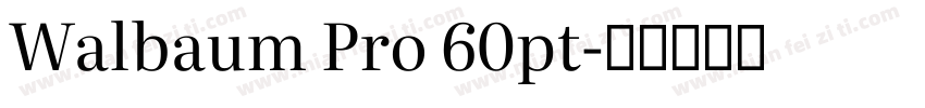 Walbaum Pro 60pt字体转换